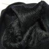 DSC09167pf.JPG
