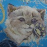  Кошки 3D платок