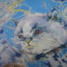  Кошки 3D платок