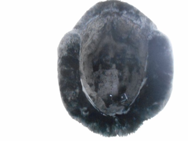  Ушанка плащёвка