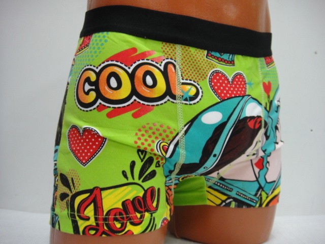 Боксеры Bokai