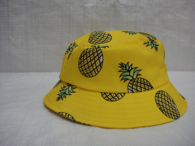  Панама Ананас